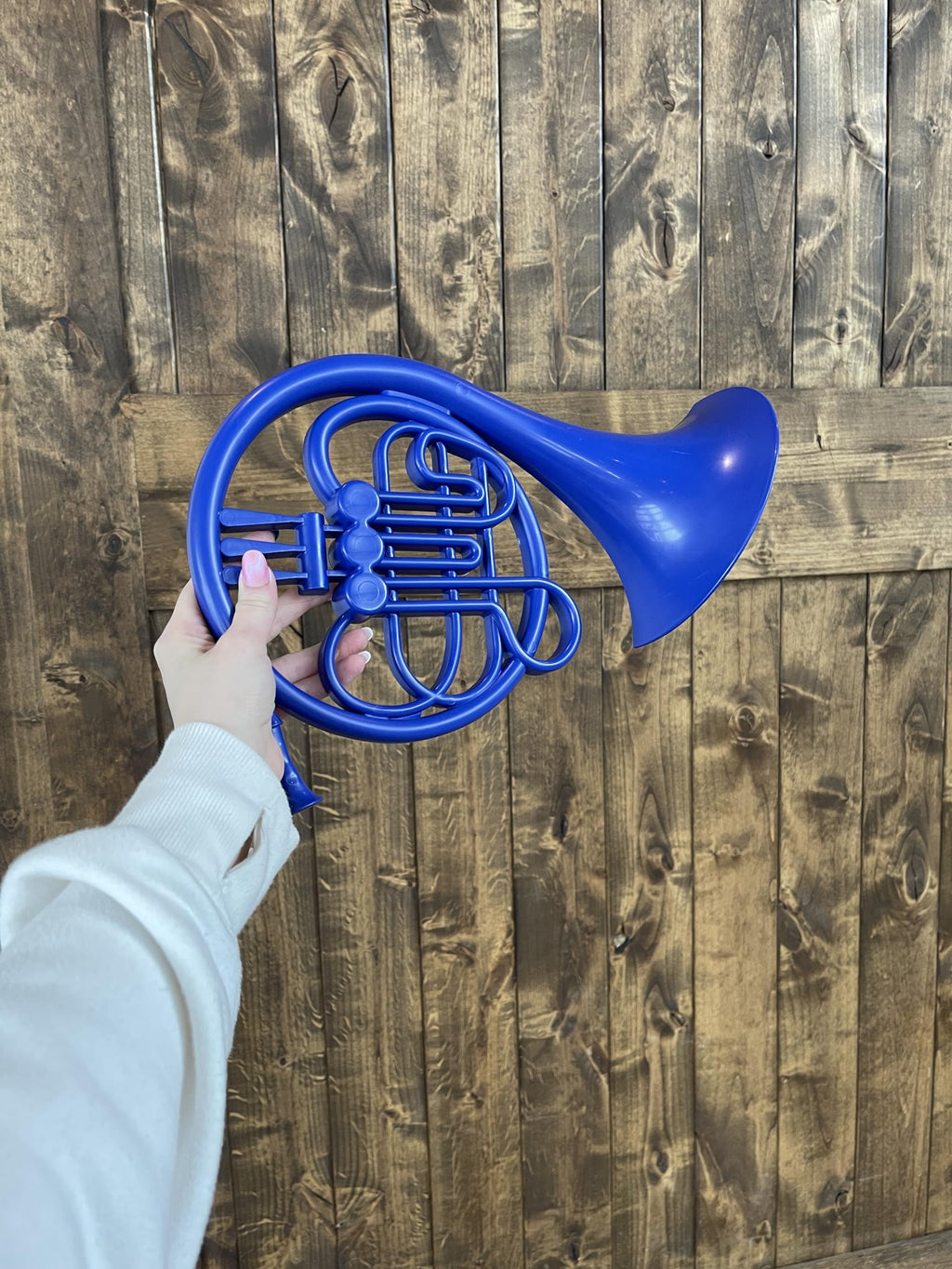 Blue French Horn HIMYM